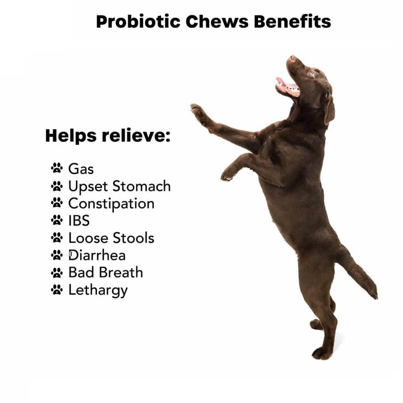 Probioticos Para Perros Gatos Mascotas 120 Tab Masticables Piping Rock